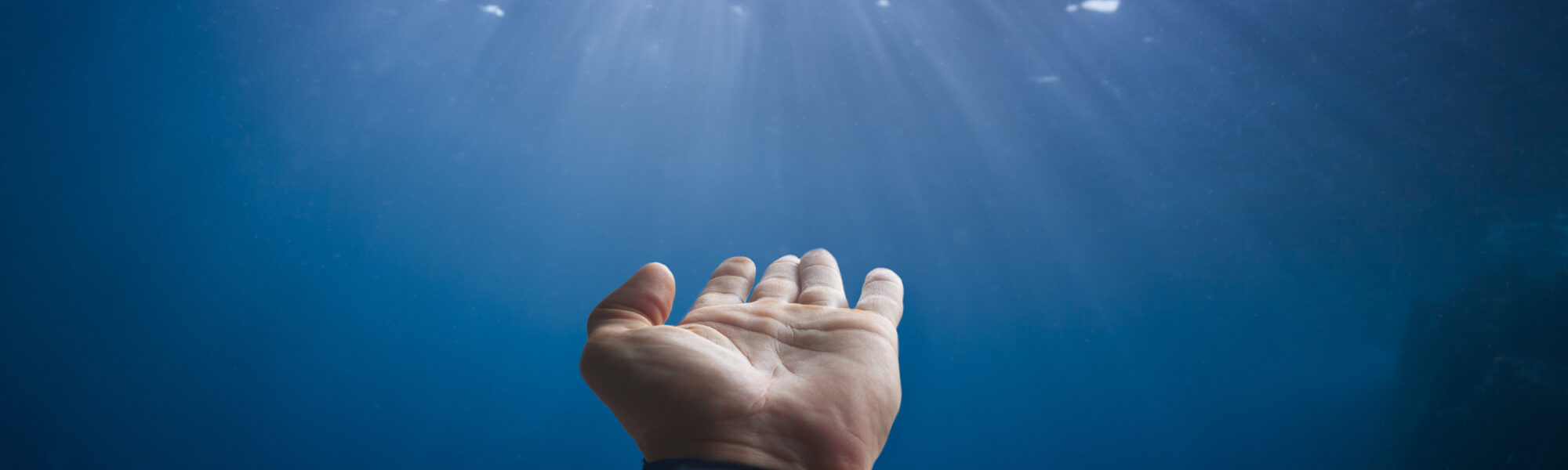 Signes de plongée de la vie marine pour la communication sous l&rsquo;eau