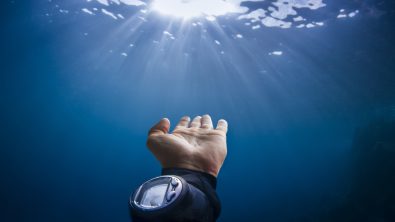 marine life hand signals underwater communication