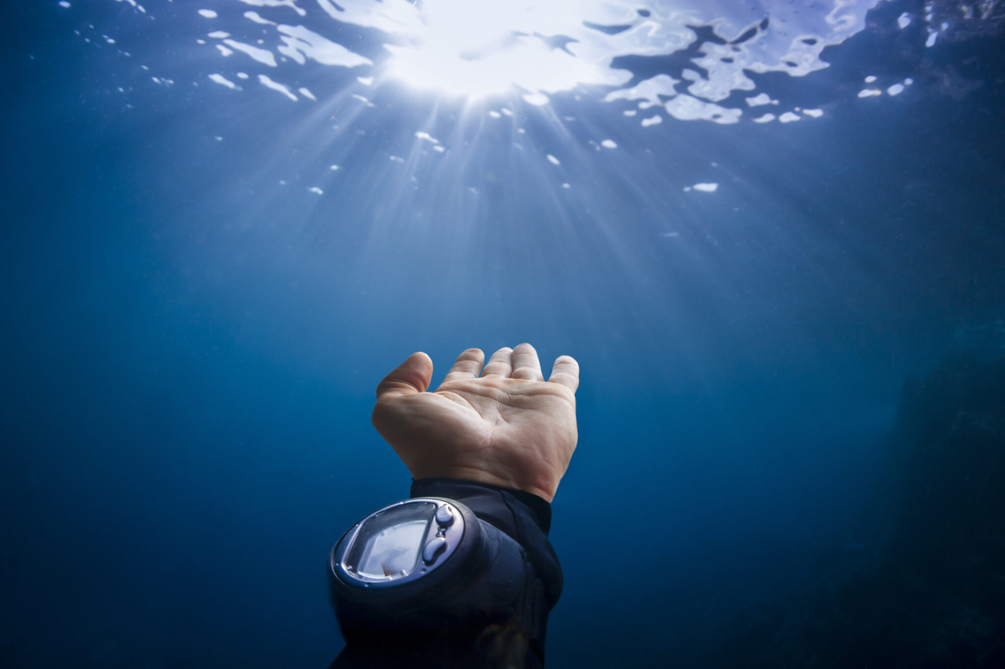 marine life hand signals underwater communication
