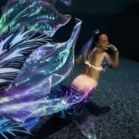 q&a with a padi mermaid