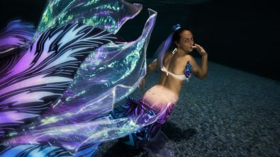 q&a with a padi mermaid