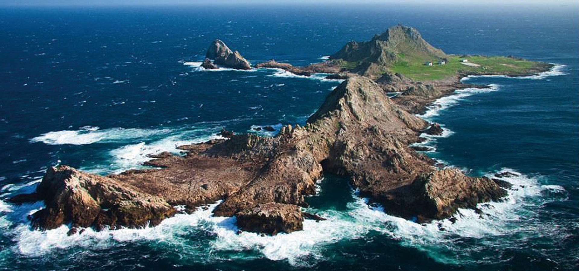 Farallon Islands - Dive in the United States