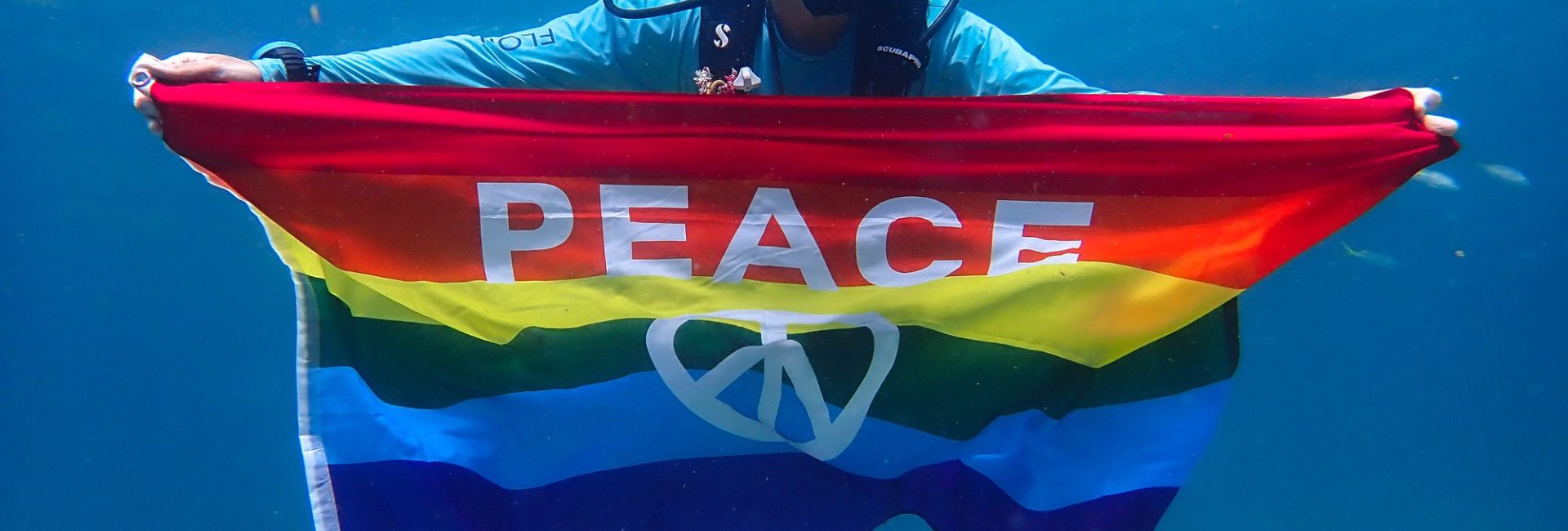 Celebrating Diversity Above and Below the Surface