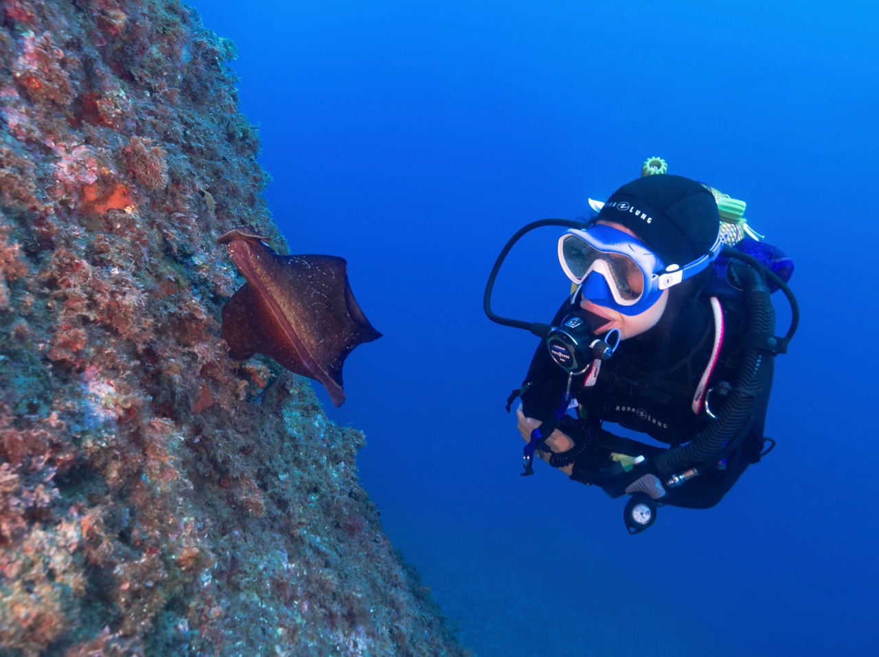 diving in costa brave spain