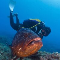 diving in costa brava spain