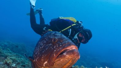 diving in costa brava spain