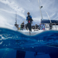 padi professional giant leap