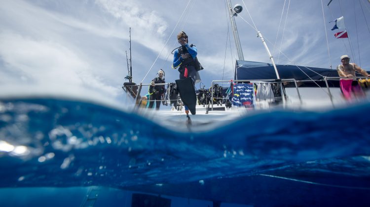 padi professional giant leap