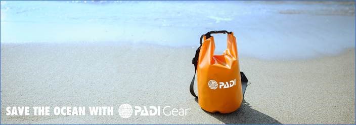 padi gear