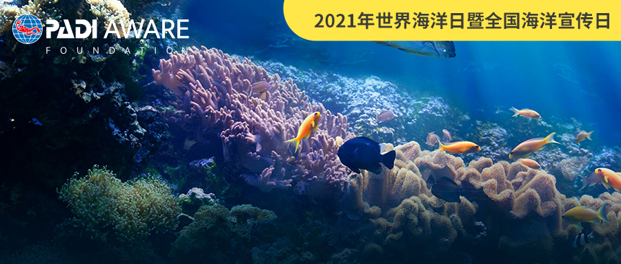世界海洋日，打击海洋垃圾，保护海洋益起来！