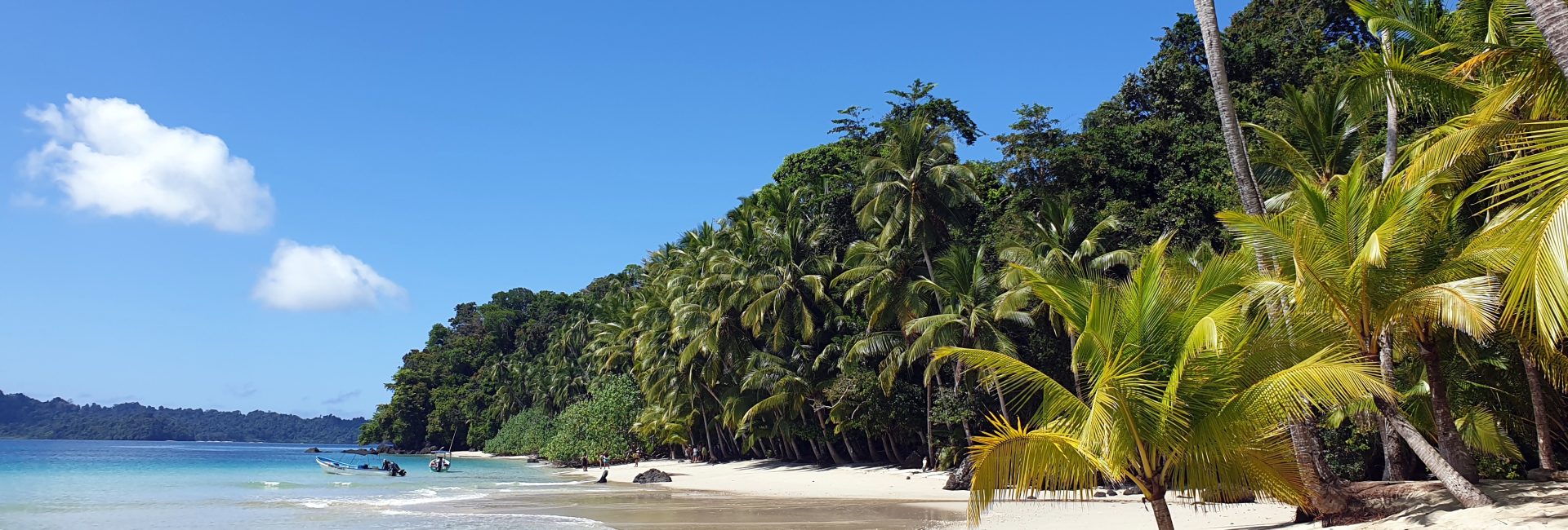 Coiba: Panama’s Underwater Paradise Now Protected by Expanded Marine Protected Area