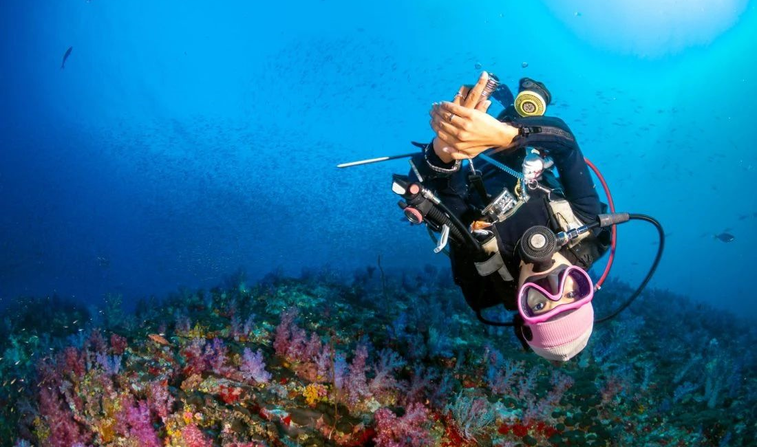 The Ocean Does Not Discriminate