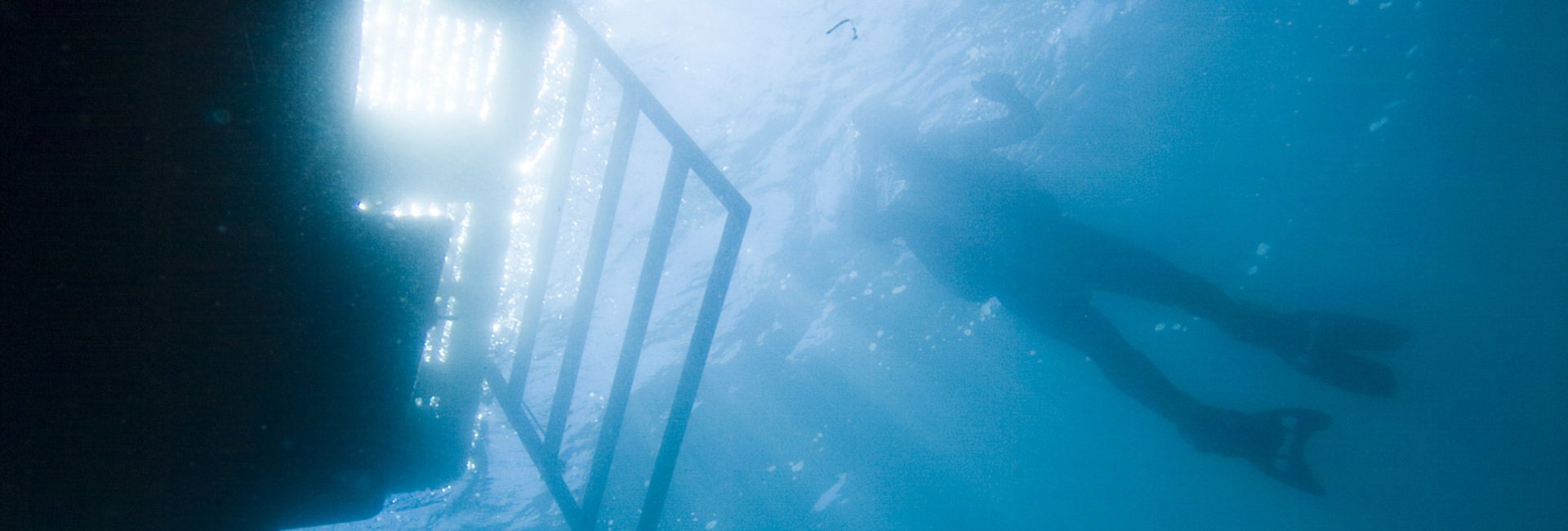 What Didn’t Happen When I Started Diving