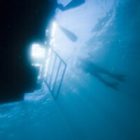 what didn't happen when I started to dive