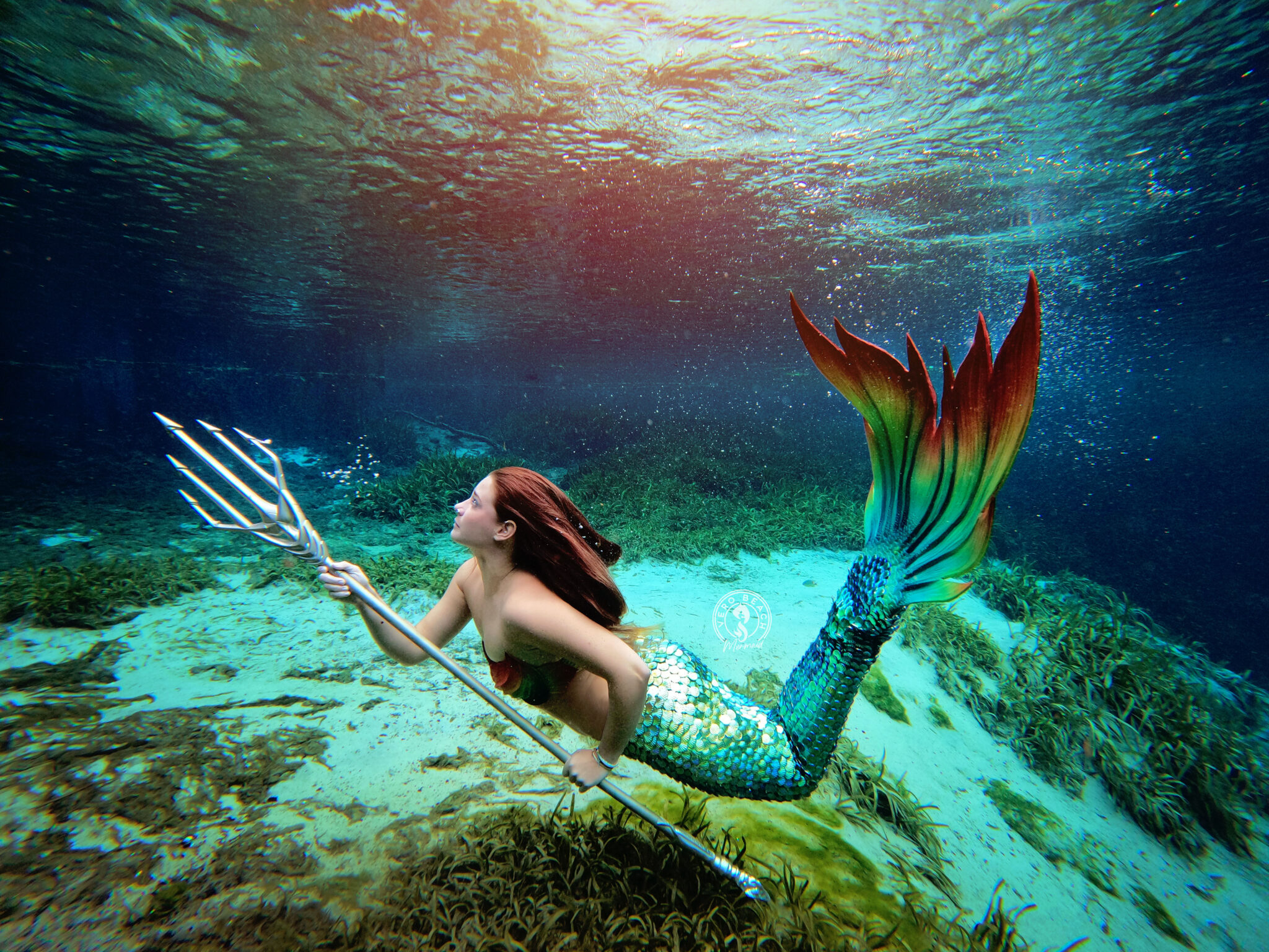 Brandee Anthony mermaid inspirational female diver