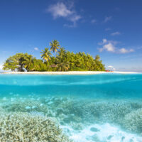 w maldives reef