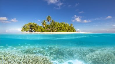 w maldives reef