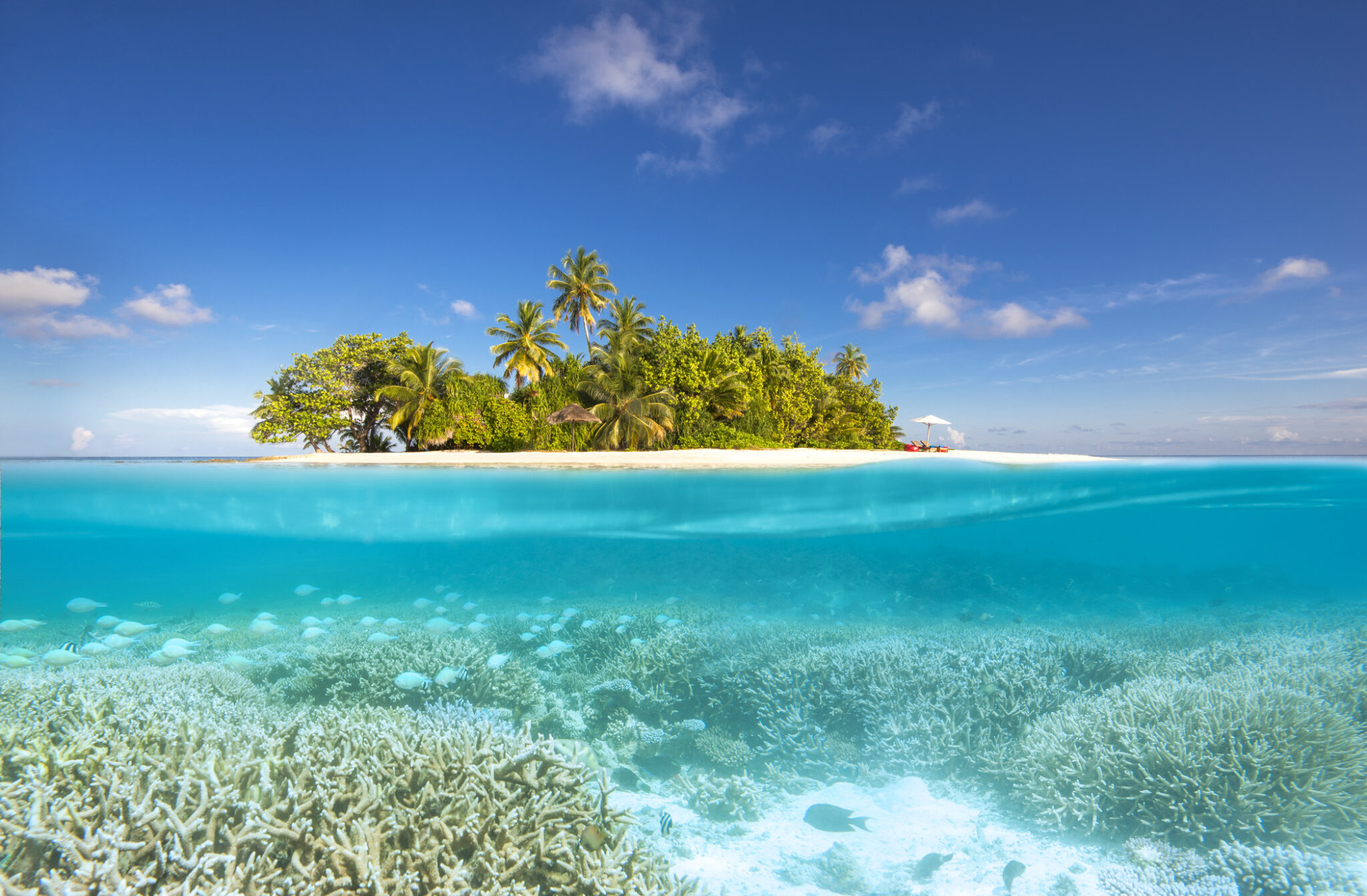 split shot maldives reef and sandy island