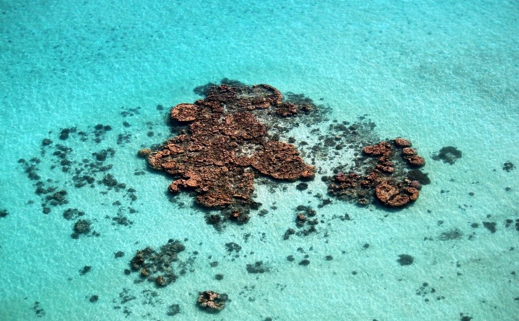 Where to dive in Western Australia