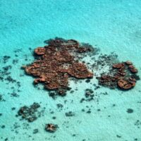 Western Australia