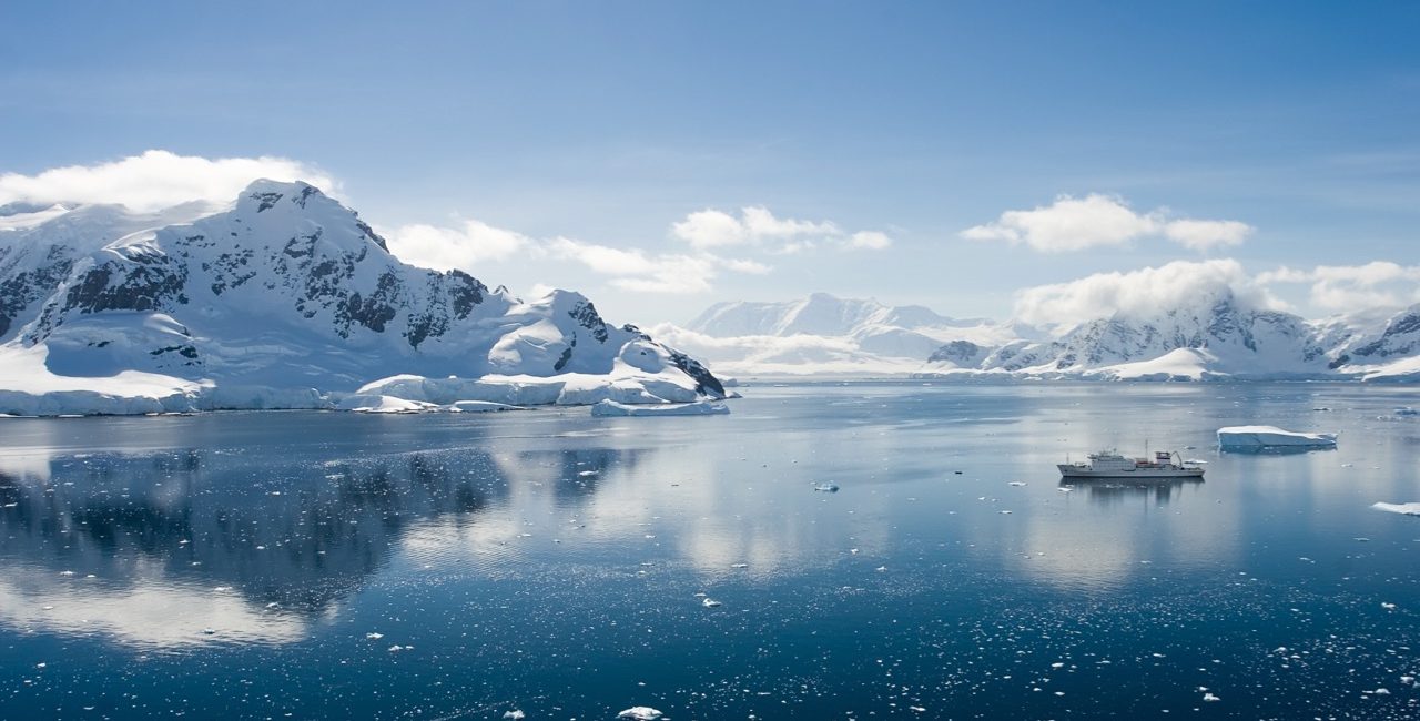 6 Cool Creatures to Spot When Ice Diving