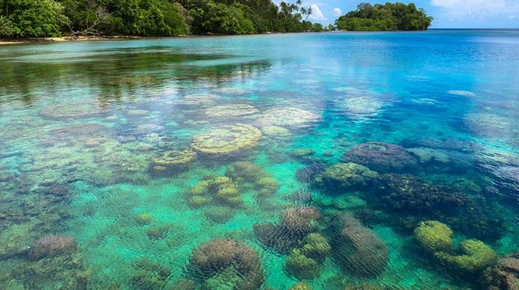 dive resorts with house reefs