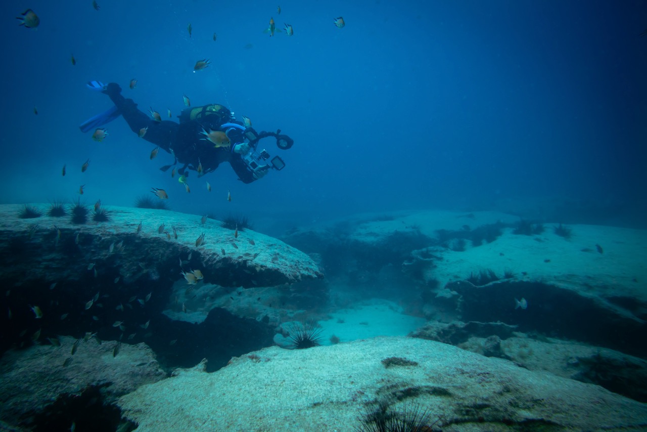 diving in fuerteventura