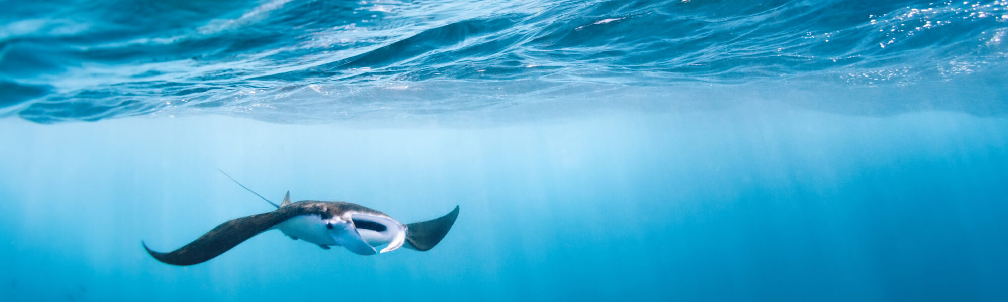 Ocean names: Where Do They Come From?
