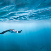 ocean names