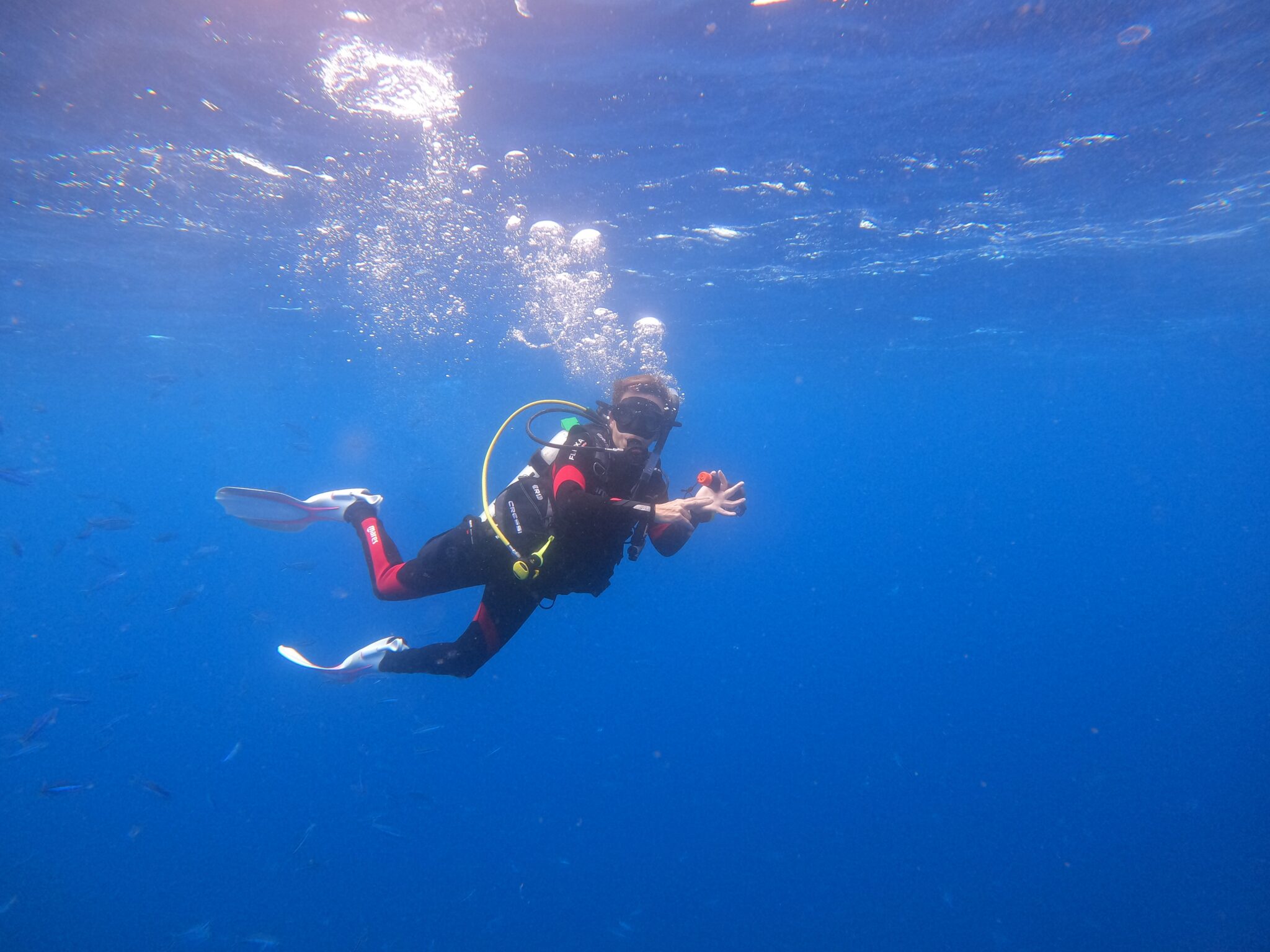 Tanya Dredge - Australia - Diver - Underwater