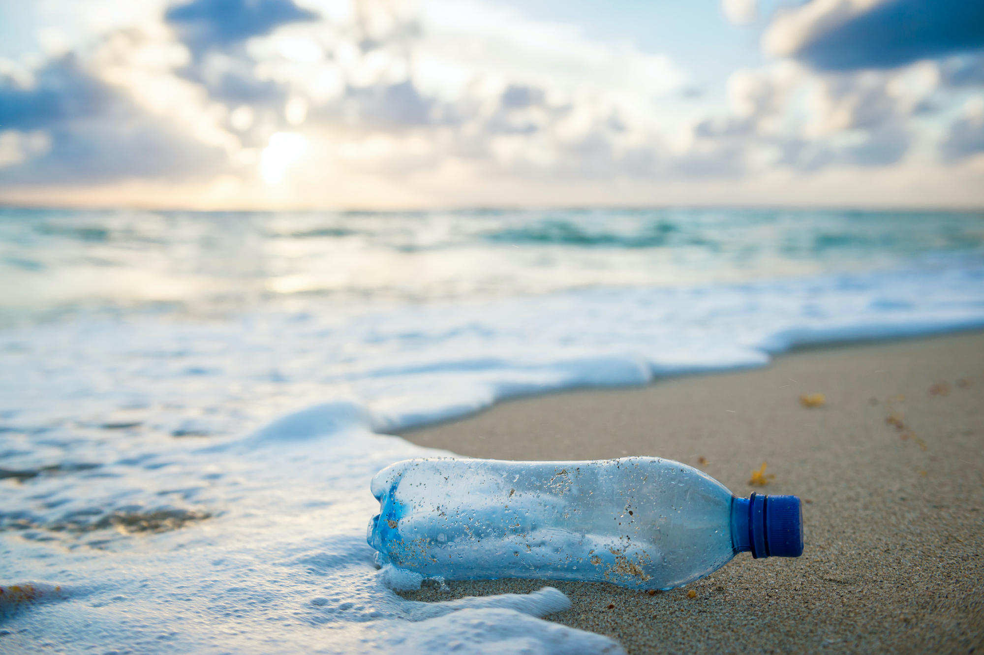 A plastic bottle sits at the water's edge on a beautiful, tropical beach.