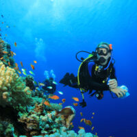 What is scuba diving like?