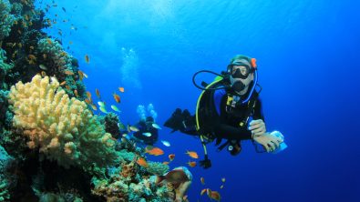 What is scuba diving like?