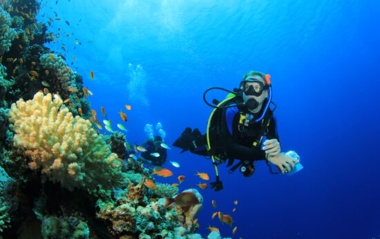 What is scuba diving like?