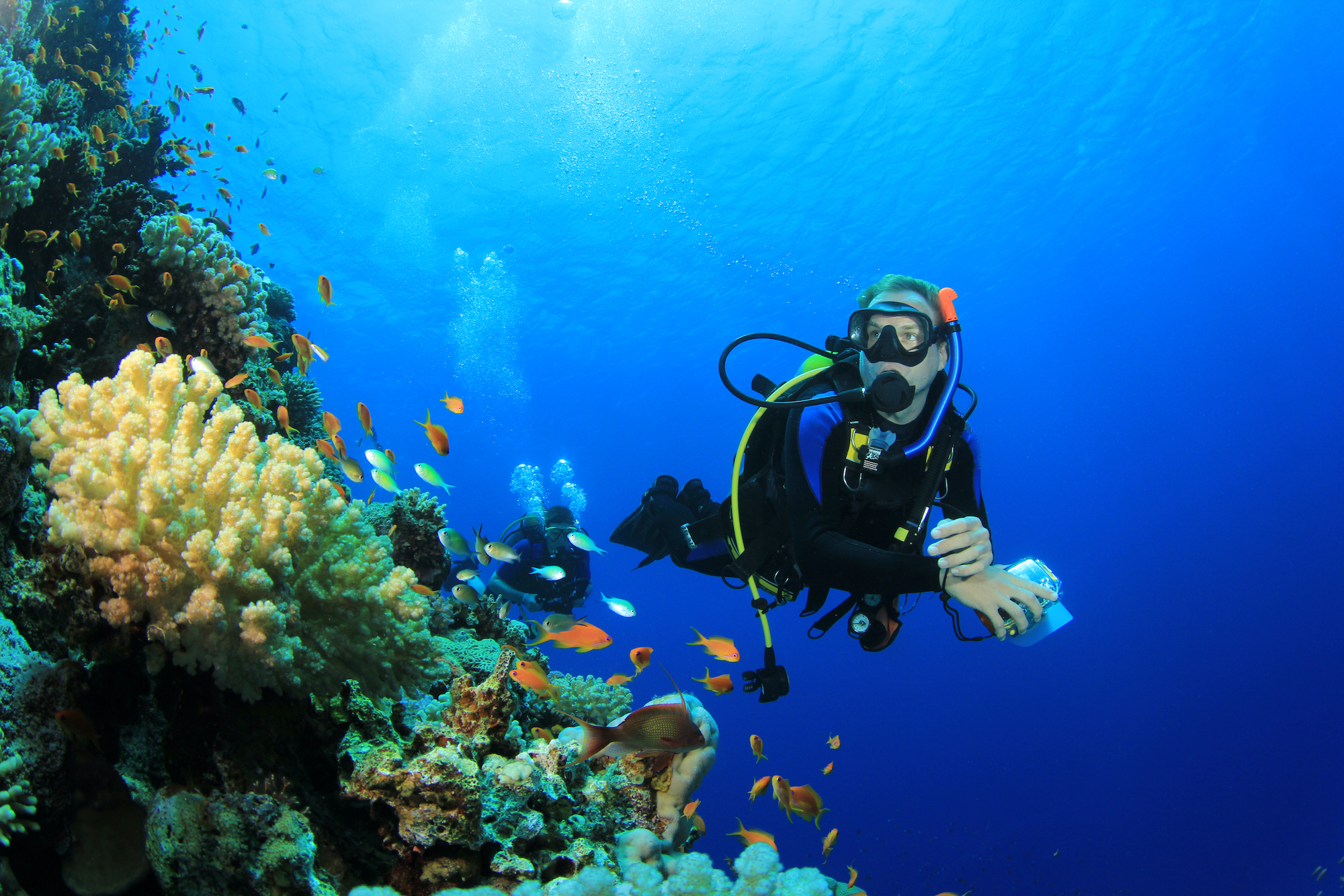 A scuba diver taking in the sights of a coral reef, and who learnt to dive after being given the gift of PADI eLearning