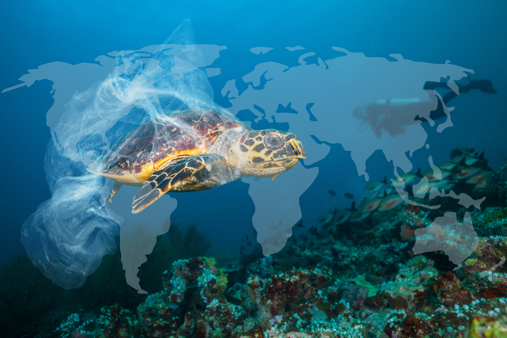 Tortue de mer emmêlée dans du plastique avec superposition d'images du monde entier