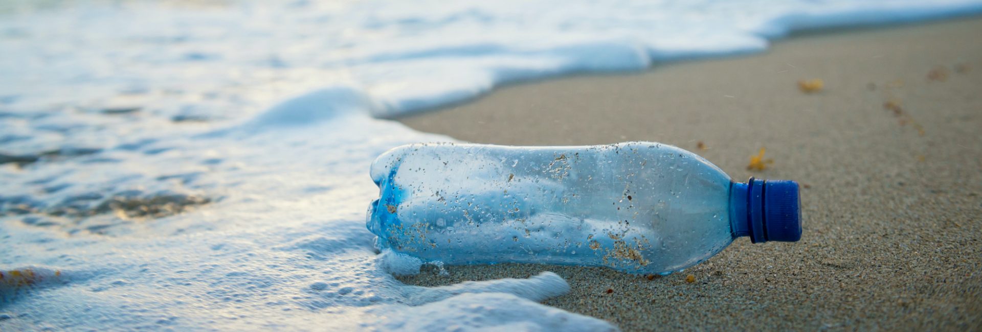 友人や家族がプラスチックの使用を減らすのに役立つ贈り物