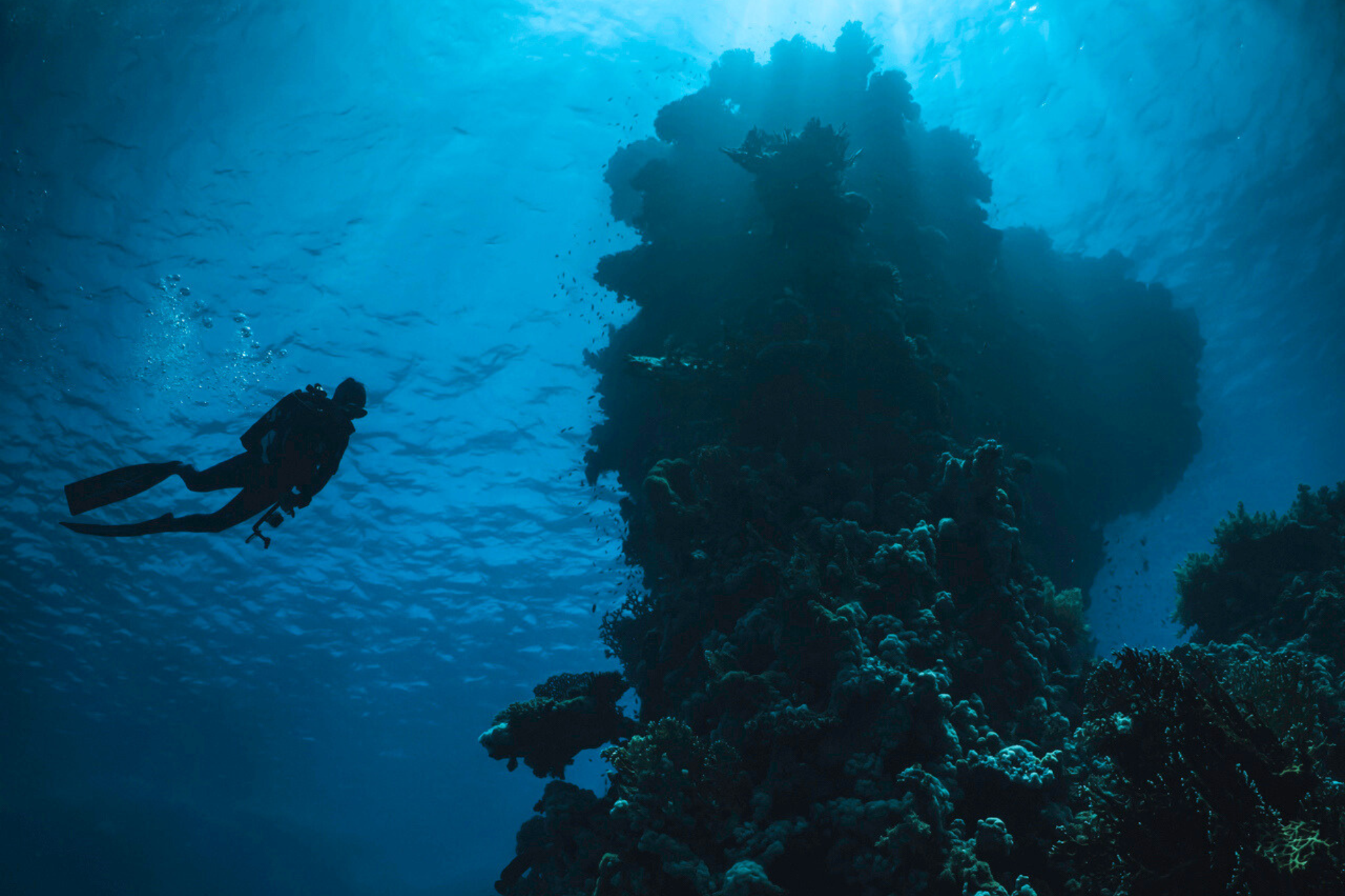 Scuba diver exploring reef structure