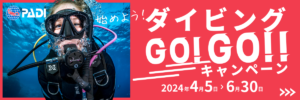 Diving GO!GO!! campaign-web banner