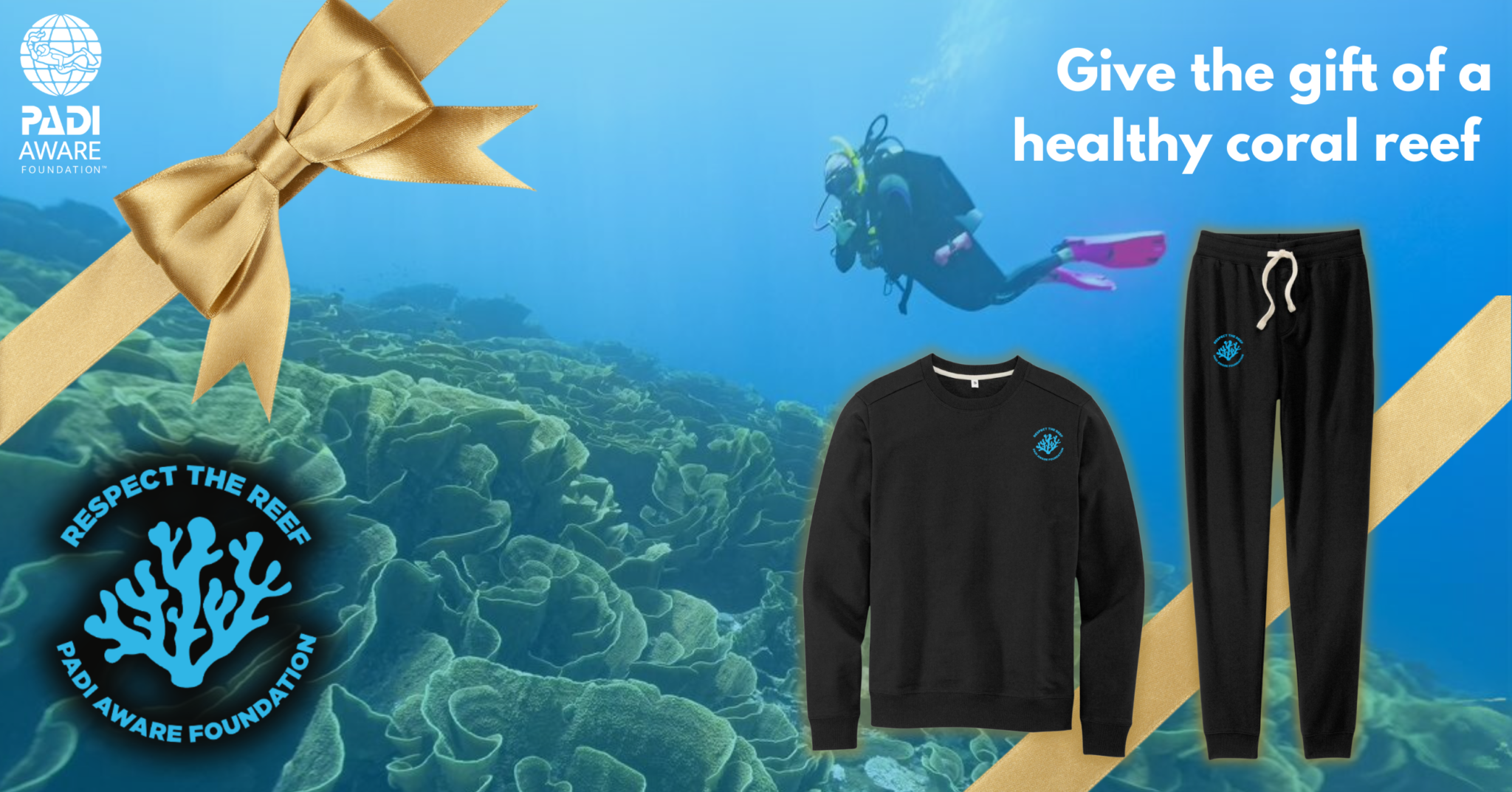 make a donation to padi aware and get a free gift
