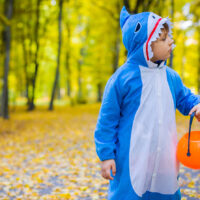 A boy dressed  in a shark costume for halloween with a pumpkin bucket