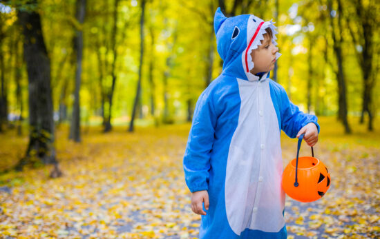 A boy dressed  in a shark costume for halloween with a pumpkin bucket