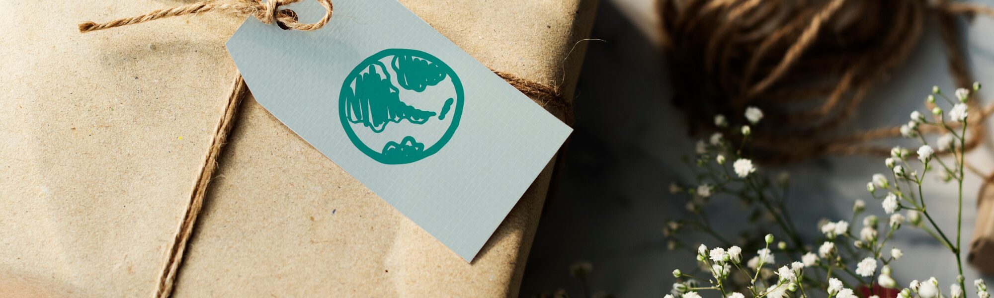 38 presentes ecologicamente corretos que apoiam a conservação dos oceanos