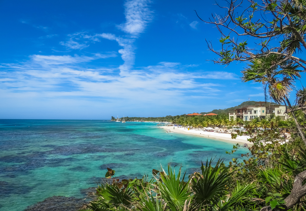 landscape image of a tropical beach 