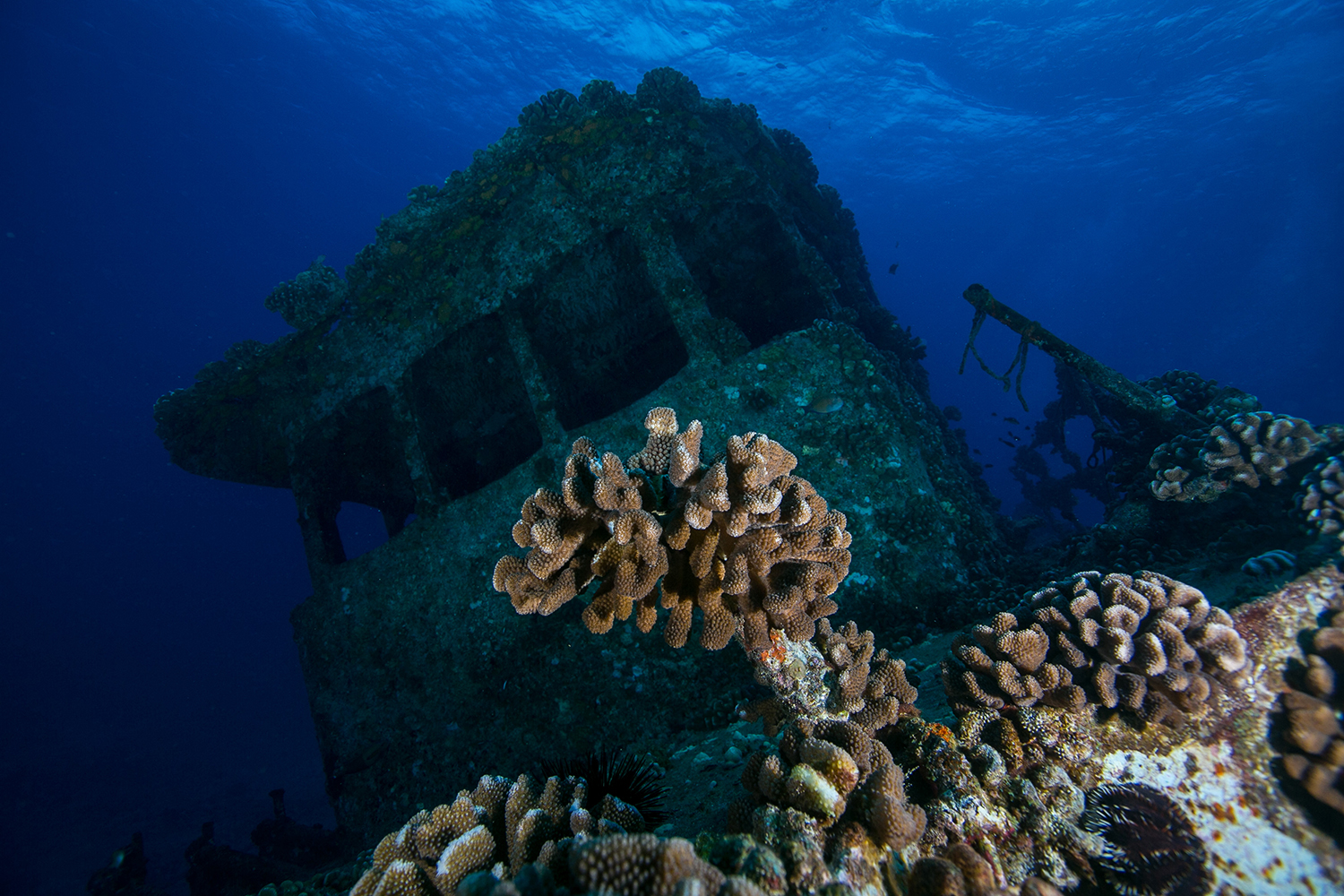 The USS Nashua, aka the Navy Tug, which is among the best wreck diving on Oahu, Hawaii