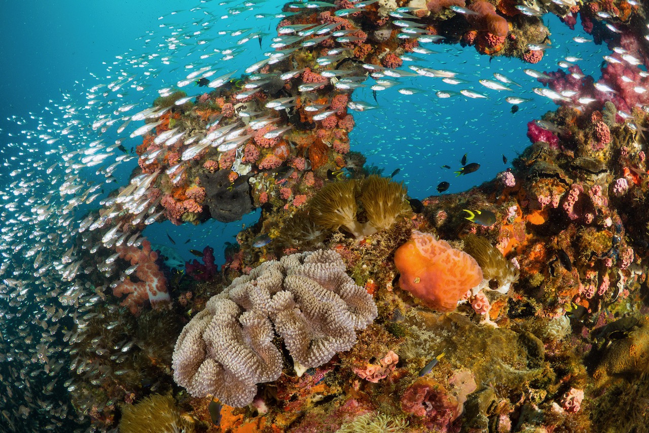 yongala wreck in australia