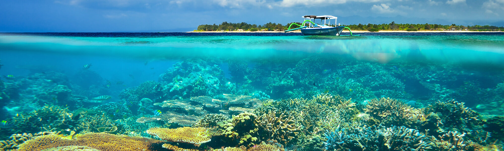 Snorkeling vs. Scuba Diving: Similarities and Differences