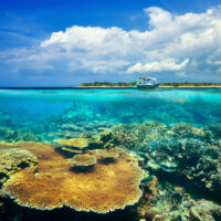 an over under photo of a tropical reef and a boat with an island in the background