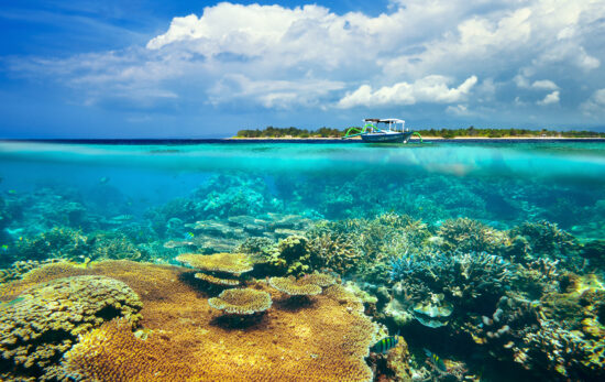 an over under photo of a tropical reef and a boat with an island in the background