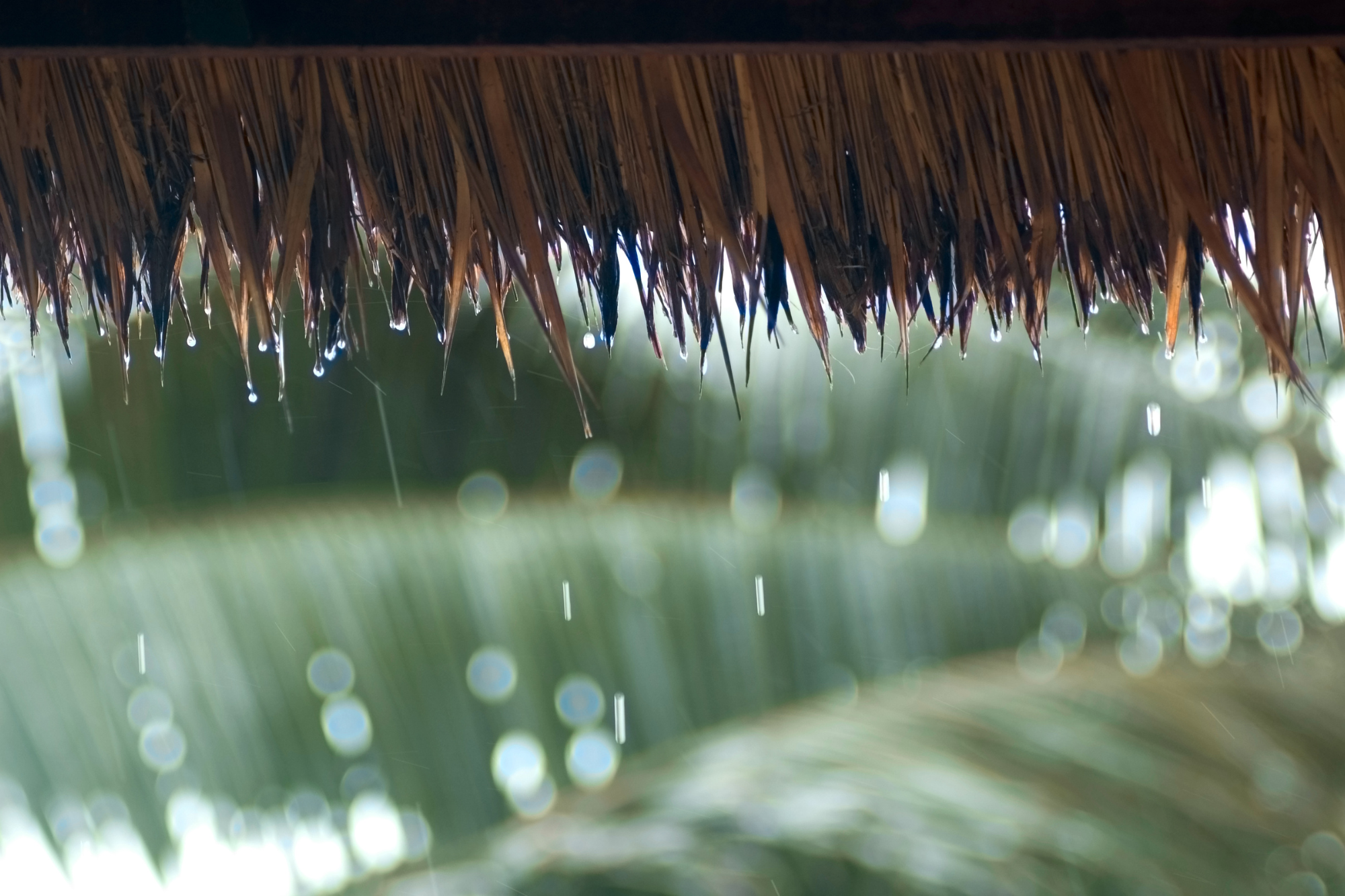 Beach hut getting rained on during rainy season